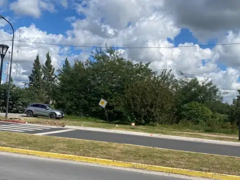 Terreno en Venta 277  mts Fondo