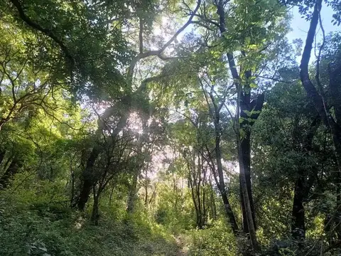 Terreno en Venta en Castellanos, USD 560.000