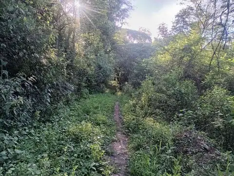 Terreno en Venta de 21000,0 m2