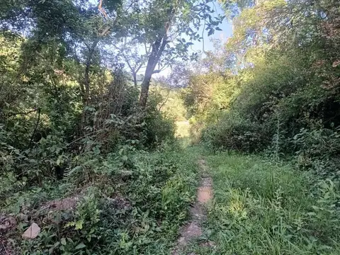 TERRENO VENTA 2 HA CASTELLANOS SAN LORENZO