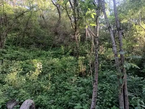 Castellanos. San Lorenzo. Ruta Provincial 100