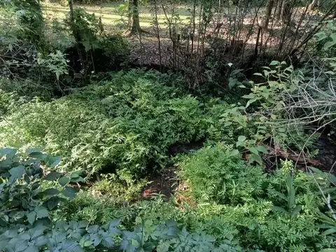 Terreno en Venta de 21000,0 m2