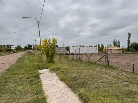 Gomensoro 700, Piso 0