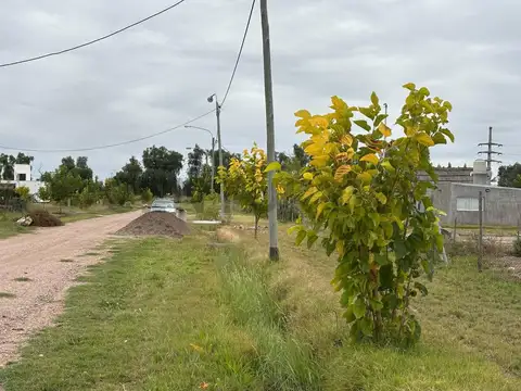 Terreno en Venta 82  mts Fondo