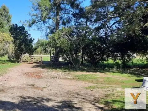 Terreno en venta - 12.000Mts2 - Magdalena