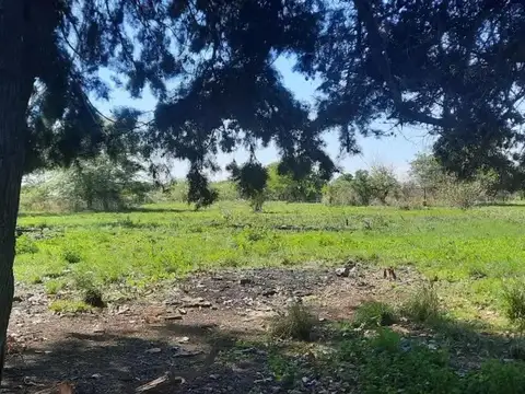 Terreno en Venta de 12000,0 m2