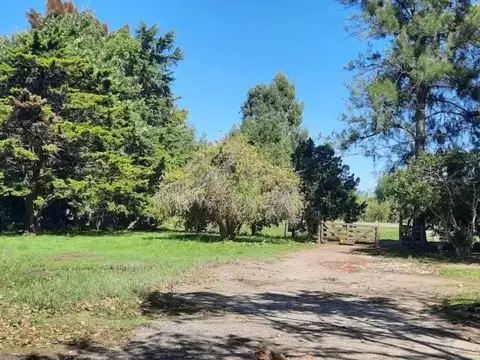 Empalme Ruta 11