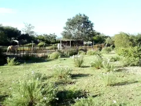 José Hernández 100