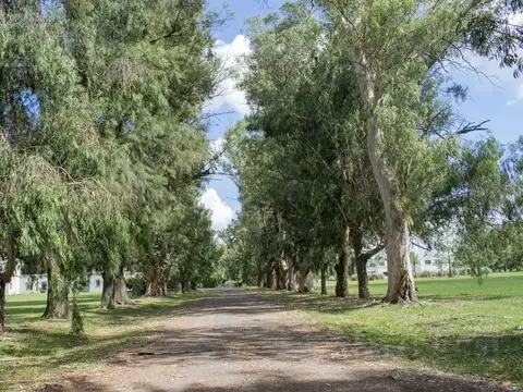 Casa en venta en Casuarinas del Pilar