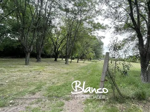 Calle Posadas y Unamuno -