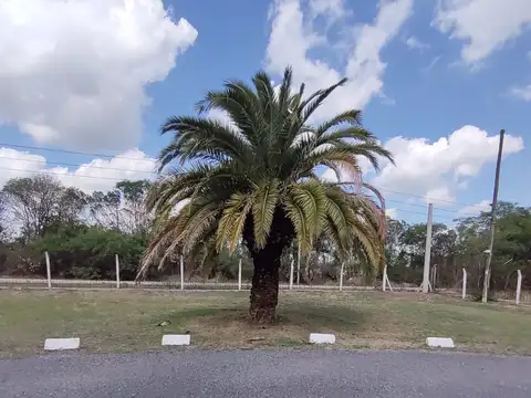 Terreno en Venta de 305,0 m2