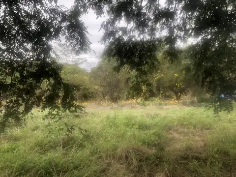 BOSQUE DEL CEIBAL LOTE 820