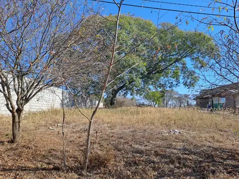 Venta Terreno en Bosque del Ceibal 1