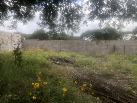 Venta Terreno en Bosque del Ceibal 1
