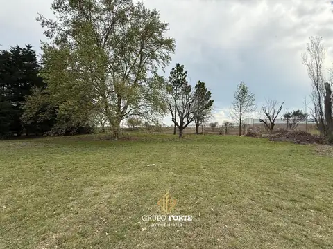 Terreno en Venta 50  mts Frente