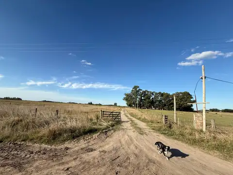 Campo en Venta de 45  ha
