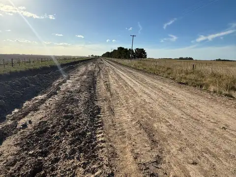 Udaondo, Cañuelas - 45 ha en venta