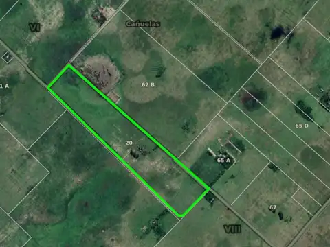 Udaondo, Cañuelas - 45 ha en venta