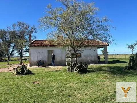 Campo en venta - 521 Hectáreas - La Pampa