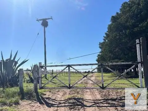 Campo en venta - 521 Hectáreas - La Pampa