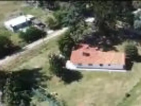 Juan Manuel de Rosas e/ Estrada y Martín Fierro.