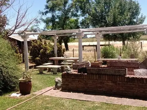 33 HCTAREAS Y FRACCION AGRICOLAS