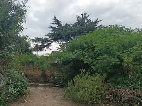 Juan Bautista Alberdi, San Antonio De Padua, Merlo 1300