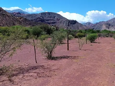 Viñedo en venta - 27.300Mts2 - Salta