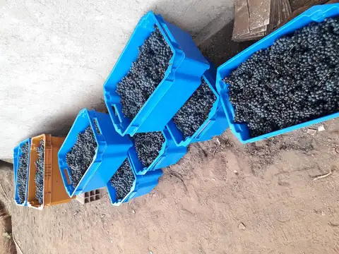 Ruta Nacional 68 - KM 66