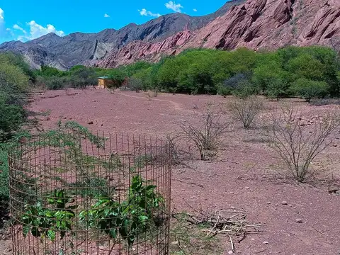 Viñedo en venta - 27.300Mts2 - Salta