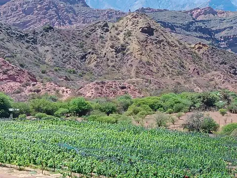 Ruta Nacional 68 - KM 66