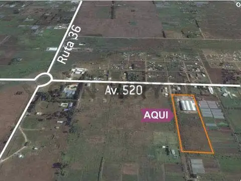 calle 185 entre 520 y 526