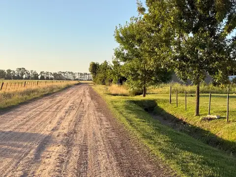 Terreno en Venta de 531,0 m2