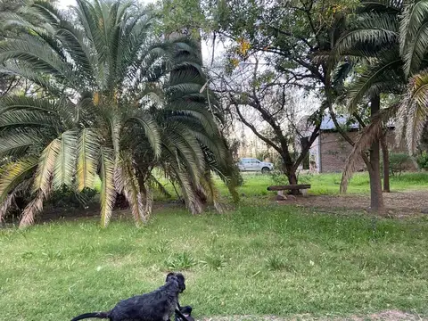 ruta nacional numero 40