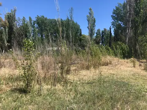 Terreno en Alquiler en El Borbollon, USD 1.000