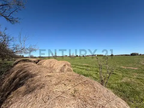 LOTE DE 1.4 Hectareas a la venta en Santa Maria de Lobos Polo.