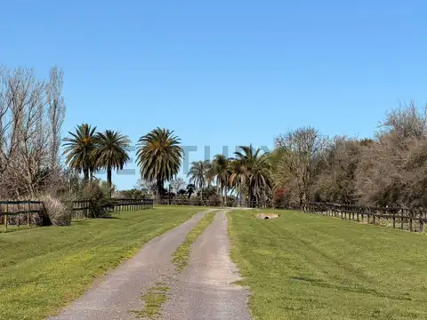 Ruta provincial 41, km193