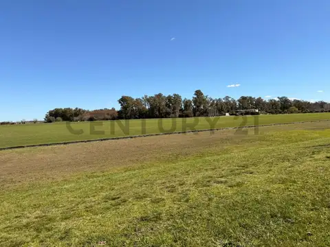 Terreno en Venta de 14200,0 m2