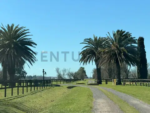 LOTE DE 1.4 Hectareas a la venta en Santa Maria de Lobos Polo.
