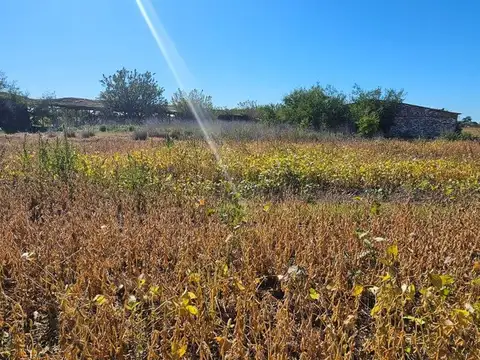 Venta Campo en Navarro  32 Has.  OPORTUNIDAD