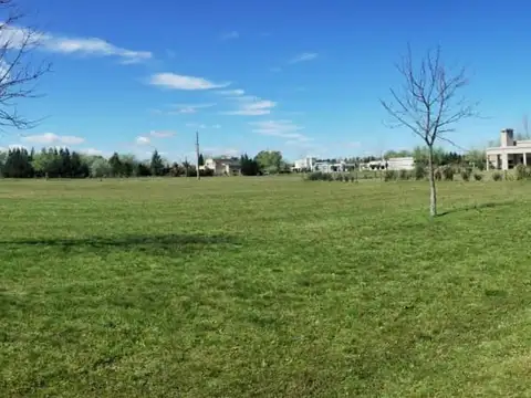 Av Juan Pablo Ii 1600