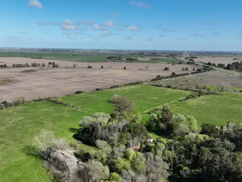 14,5 has. Campo Agrícola sobre Ruta 8 – Exaltación de la Cruz