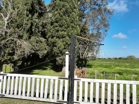 Campo en Venta Agrícola