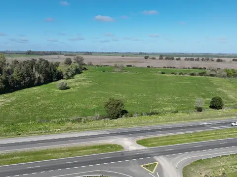 14,5 has. Campo Agrícola sobre Ruta 8 – Exaltación de la Cruz