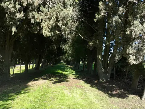 Campo en Venta de 15  ha