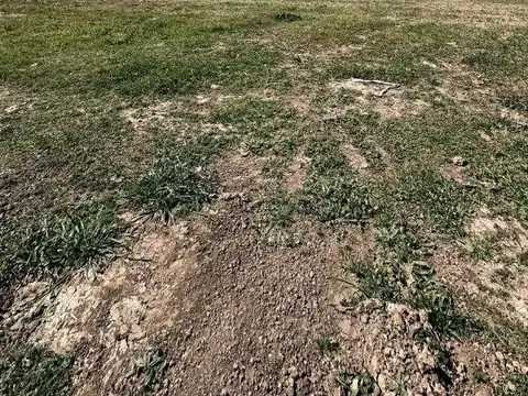 Terreno en Venta de 1000,0 m2
