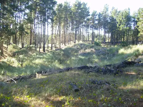 Cod. 408 – Deportivo II Lote 512