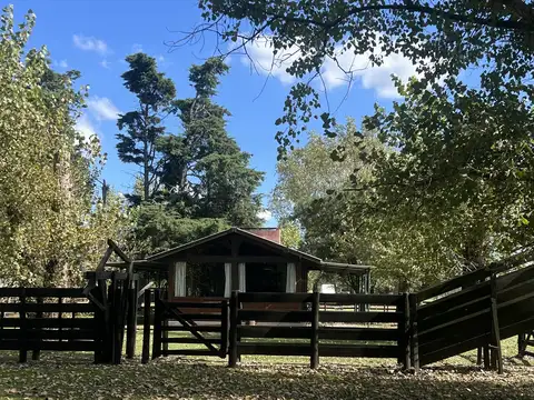 Campo en Alquiler de 2  ha
