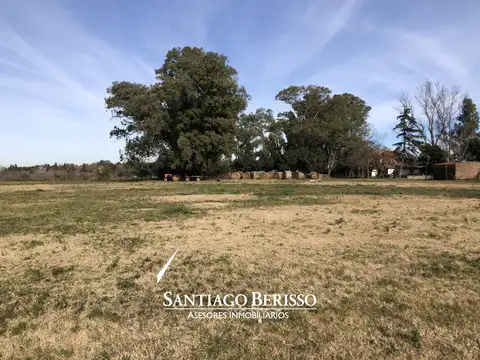22 ha. Exaltación de la Cruz