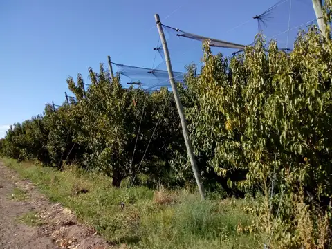 Campo en Venta de 5  ha